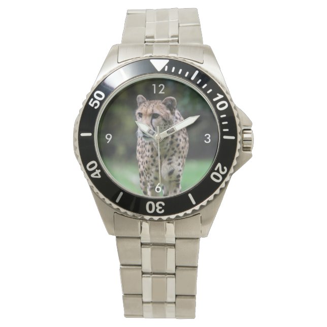 Cheetah_20180803 Watch (Front)