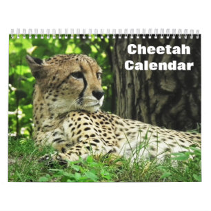 Cheetah 2026 calendar