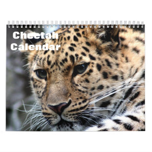 Cheetah 2027 calendar