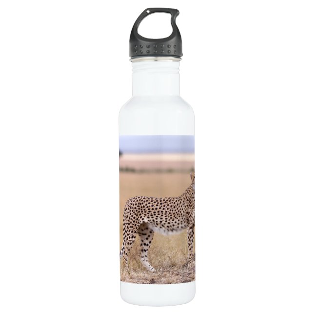Cheetah 710 Ml Water Bottle (Front)
