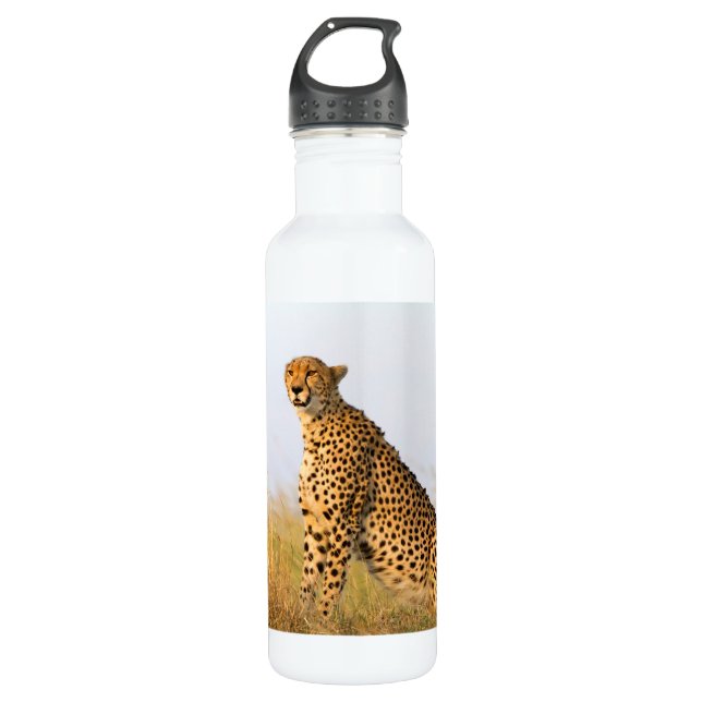 Cheetah 710 Ml Water Bottle (Front)