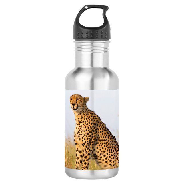 Cheetah 710 Ml Water Bottle (Front)