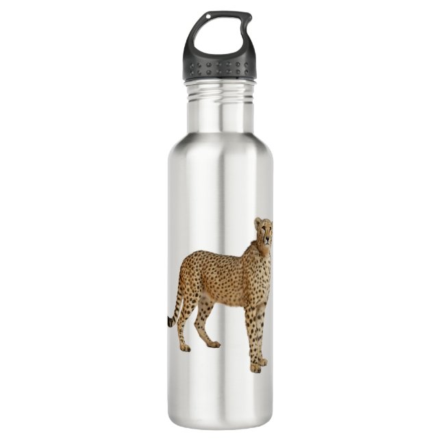 Cheetah 710 Ml Water Bottle (Front)