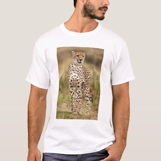 Cheetah, Acinonyx jubatus, in the Masai Mara T-Shirt (Front)