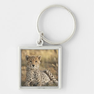 Cheetah, Acinonyx jubatus Key Ring