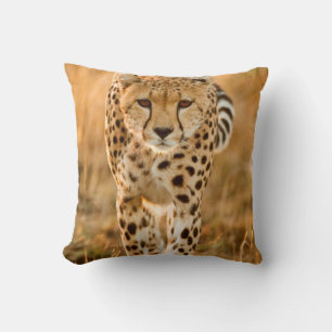 Cheetah (Acinonyx Jubatus) Portrait, Maasai Cushion