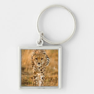 Cheetah (Acinonyx Jubatus) Portrait, Maasai Key Ring