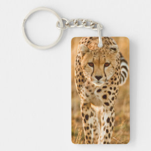 Cheetah (Acinonyx Jubatus) Portrait, Maasai Key Ring