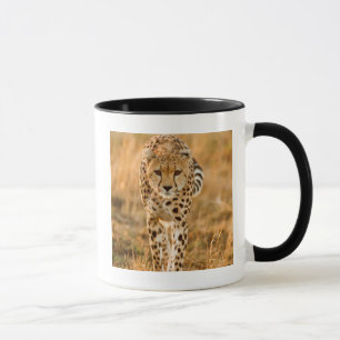 Cheetah (Acinonyx Jubatus) Portrait, Maasai Mug
