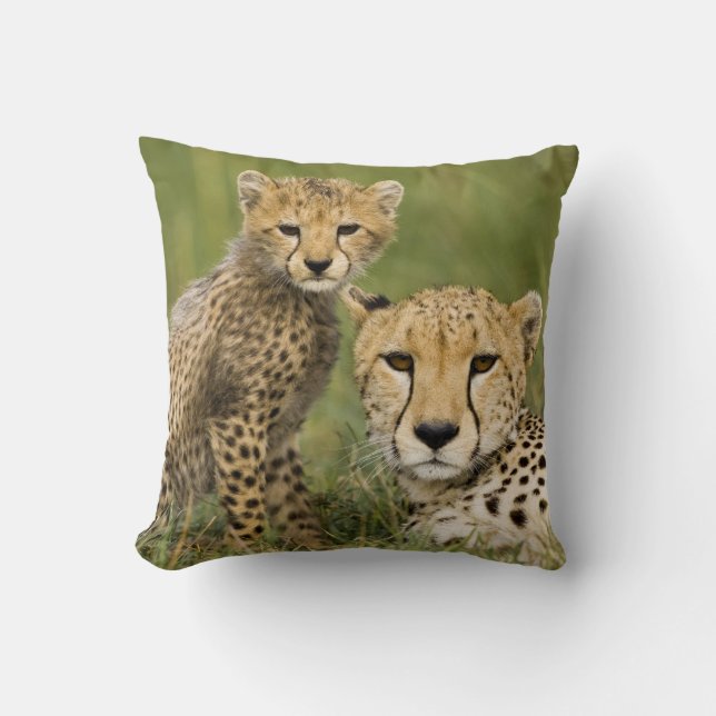 Cheetah, Acinonyx jubatus, with Cub Cushion (Front)