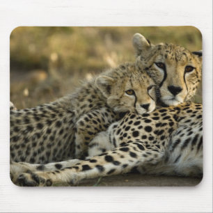 Cheetah, Acinonyx jubatus, with cub in the Masai 2 Mouse Mat