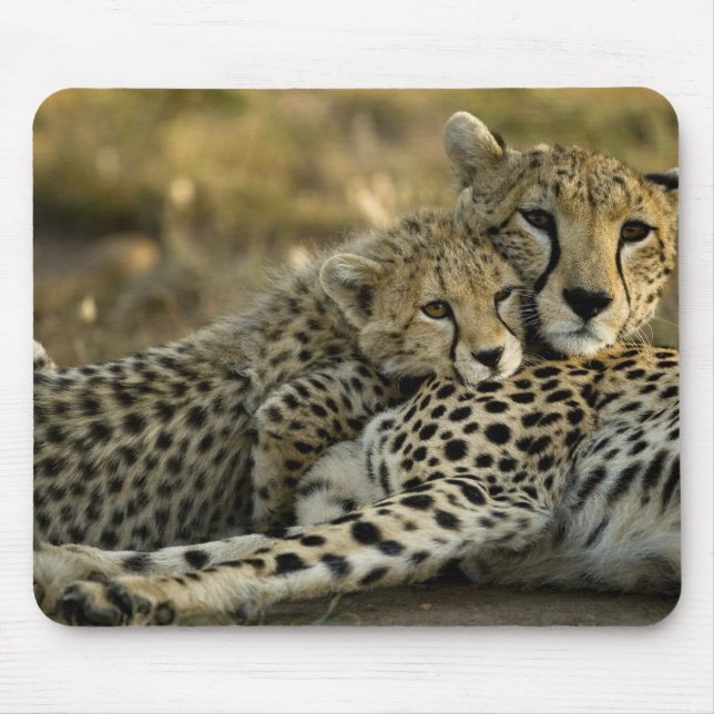 Cheetah, Acinonyx jubatus, with cub in the Masai 2 Mouse Mat (Front)