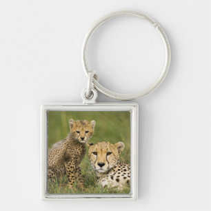 Cheetah, Acinonyx jubatus, with Cub Key Ring