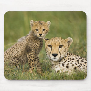 Cheetah, Acinonyx jubatus, with Cub Mouse Mat