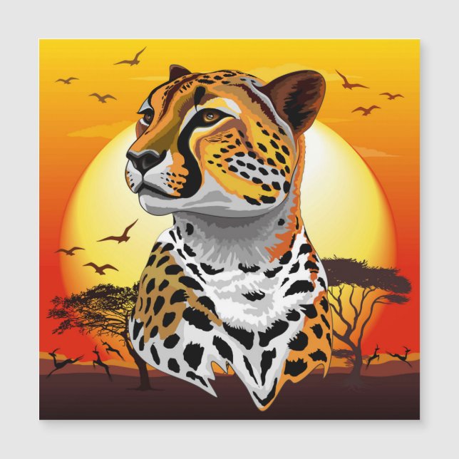 Cheetah African Feline Wild Animal (Front)