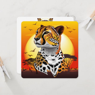 Cheetah African Feline Wild Animal