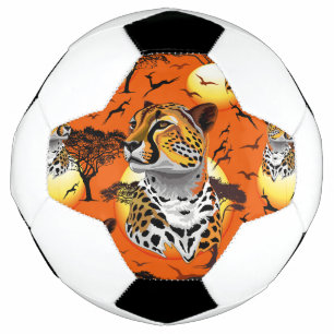 Cheetah African Feline Wild Animal Football