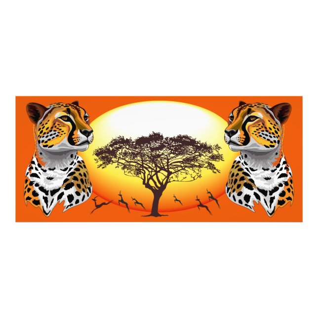 Cheetah African Feline Wild Animal Photo Print (Front)