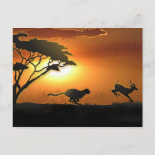 Cheetah and Gazelle post card