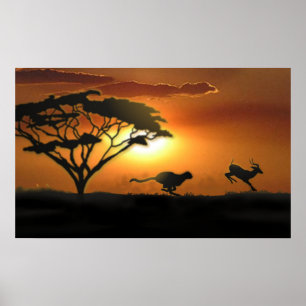 Cheetah and Gazelle Poster