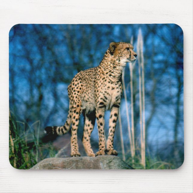 Cheetah animal mouse mat (Front)