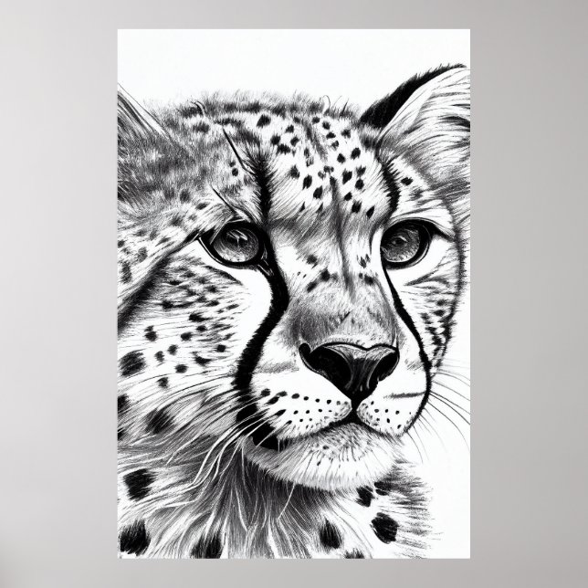 Cheetah Animal Wild Nature Illustration Line Epic  Poster (Front)
