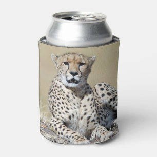 Cheetah at the Masai Mara in Kenya photo Can Cooler