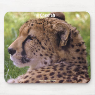 Cheetah Big Cat Wildlife Photo Mousepad