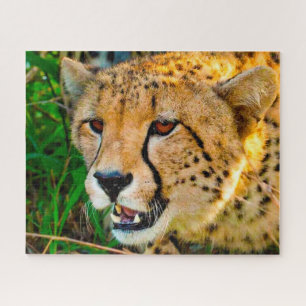 Cheetah Big Cats. Jigsaw Puzzle