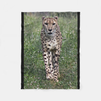 Cheetah blanket