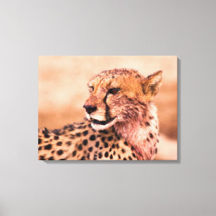 Cheetah Canvas Print