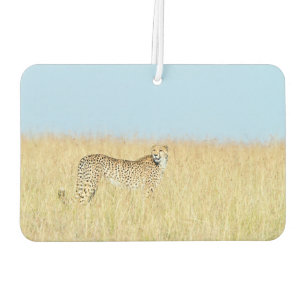 Cheetah Car Air Freshener