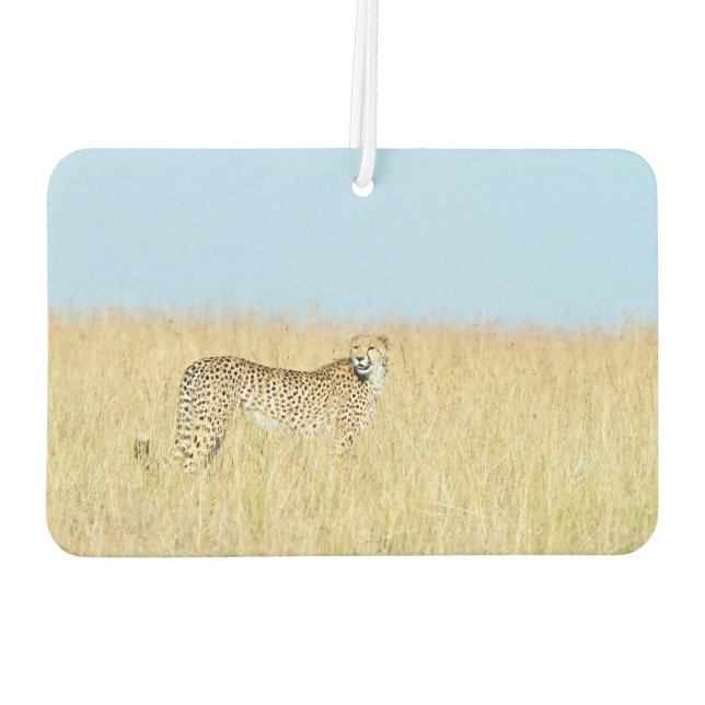 Cheetah Car Air Freshener (Back)