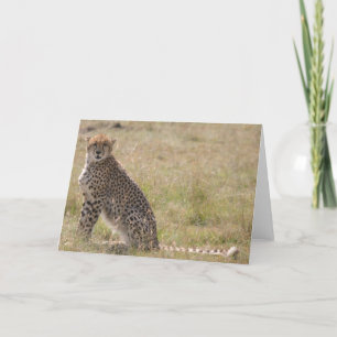 Cheetah Card