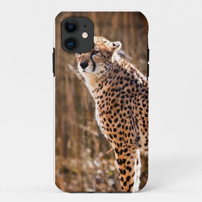 Cheetah Case-Mate iPhone Case (Back)