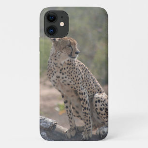 Cheetah iPhone 11 Case