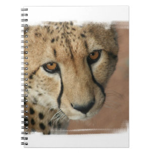 Cheetah Cat  Notebook