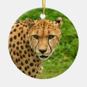 Cheetah Ceramic Tree Decoration