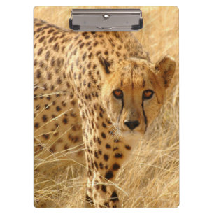 Cheetah/Clipboard Clipboard