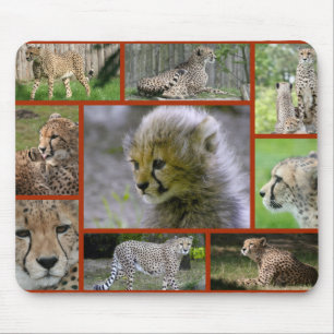 Cheetah-Collage 001 Poster Mouse Mat