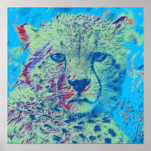 Cheetah colourful version poster