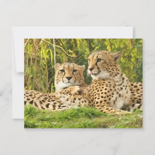 Cheetah Companions – Resting in the Wild Postcard
