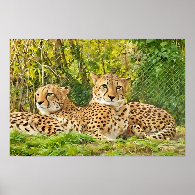 Cheetah Companions – Resting in the Wild" Poster (Front)