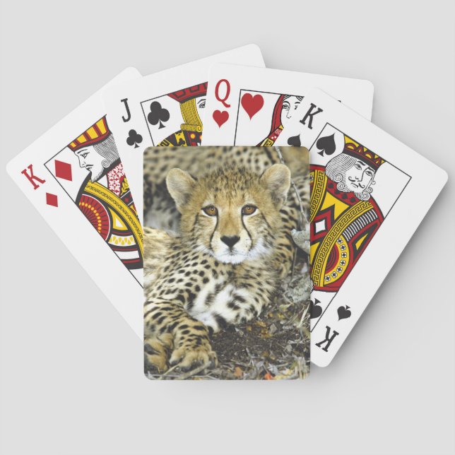 Cheetah Cub 2 Playing Cards (Back)