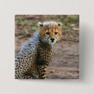 Cheetah Cub Acinonyx Jubatus) 15 Cm Square Badge