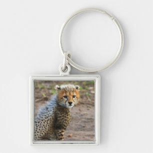 Cheetah Cub Acinonyx Jubatus) Key Ring