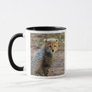 Cheetah Cub Acinonyx Jubatus) Mug