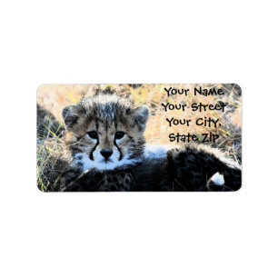 Cheetah Cub address label