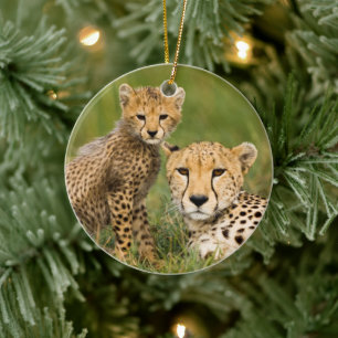 Cheetah Cub and Parent in Grass Ceramic Tree Decoration