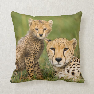 Cheetah Cub and Parent in Grass Cushion